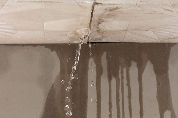 Professional Burst Pipe Cleanup technician working in Meadow, UT